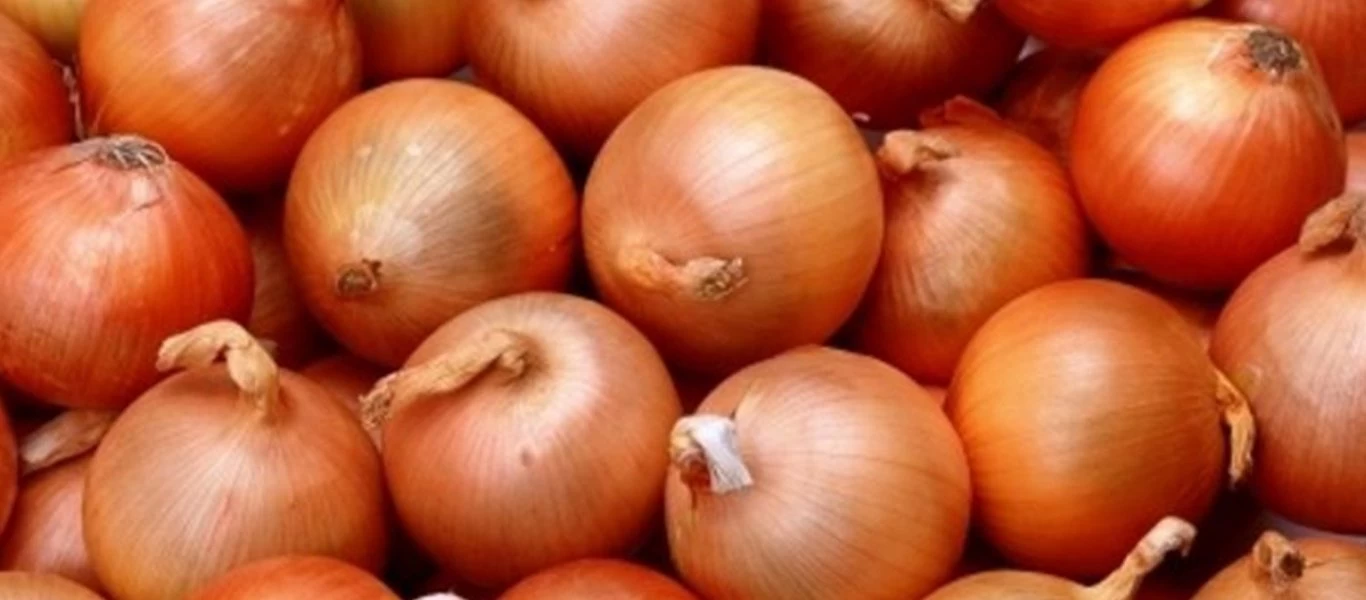 Το απίστευτο όφελος που έχουν τα κρεμμύδια στον οργανισμό μας